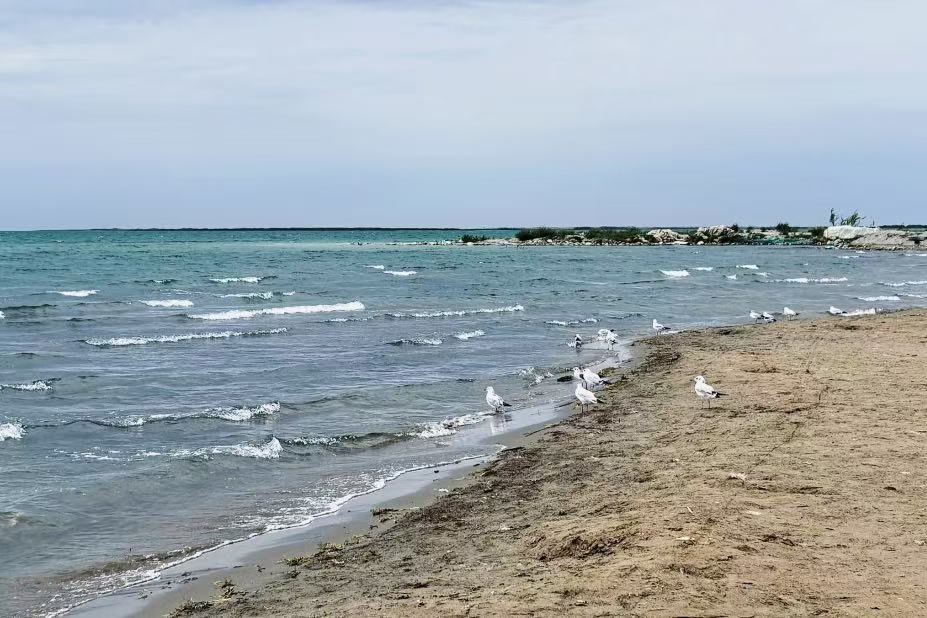 Xinjiang Golden Beach